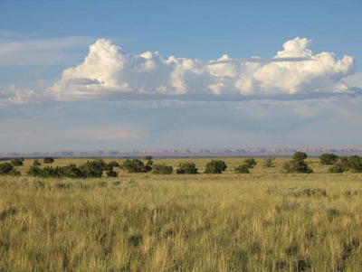 A Colorado Plateau semi-arid grassland at Wupatki National Monument with blue grama and galleta.