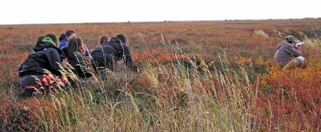 people kneeling in grass, one of them aiming a rifle at a caribou