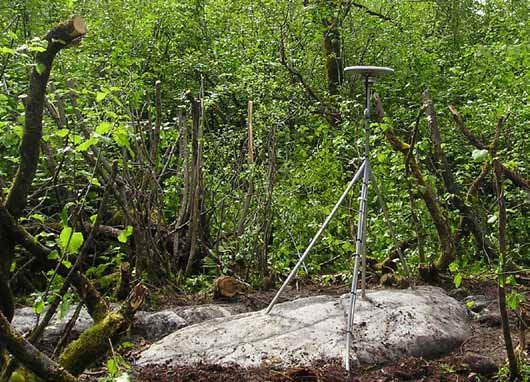 tripod device in thick brush