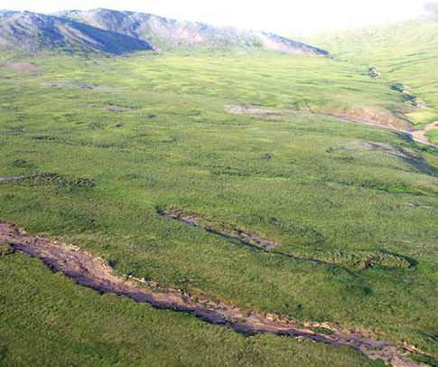 aerial view of a treeless hillside with numerous slumps