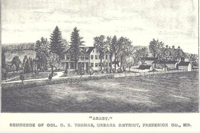 A drawing of the buildings and trees of the Thomas Farm landscape, also known as Araby.
