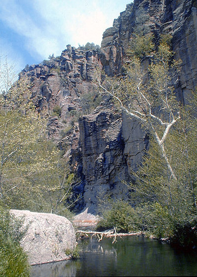 River and riparian vegetation backed by a steep cliff