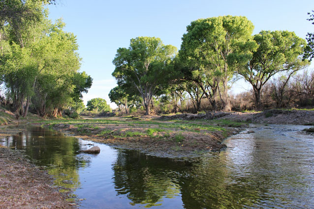 A wide, flat, braided section of river with trees dotting the banks.