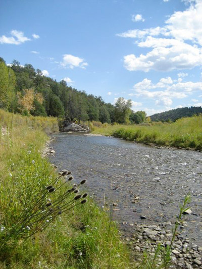 A river running through a meadow towards forested hills beyond.