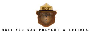 Cartoon graphic of a bear wearing a ranger hat, text 