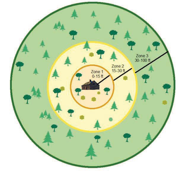 a diagram showing the recommended distance of tree clearing around cabins