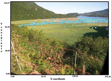 a floodplain with blue dots representing bear activity on a given day