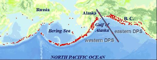 map of sea lion haulouts on north pacific ocean
