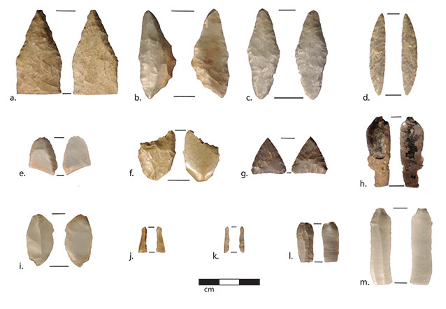 roughly two dozen stone arrowheads of various sizes