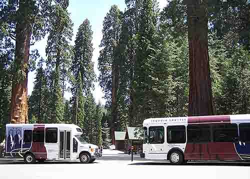 Sequoia & Kings Canyon shuttles