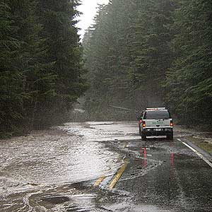 Flooded road in Mount Rainier National Park.