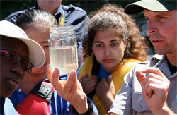 Citizen scientists examine a water sample Citizen scientists examine a water sample