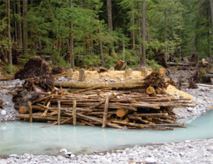 Logs and other material along the river