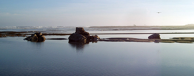 Water covering fish factory ruins