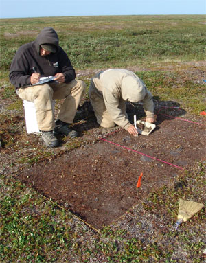 Archeologists recover data of past people and climate in Cape Krusenstern National Monument.