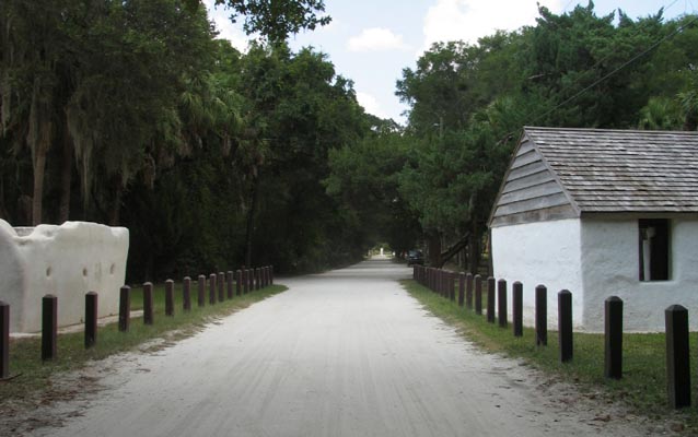 palmetto avenue