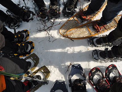 Snowshoes