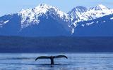 Visiting Glacier Bay
