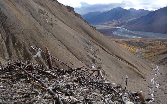 Image of a golden eagle nest, looking out over a river valley, with a steep scree slope to the left