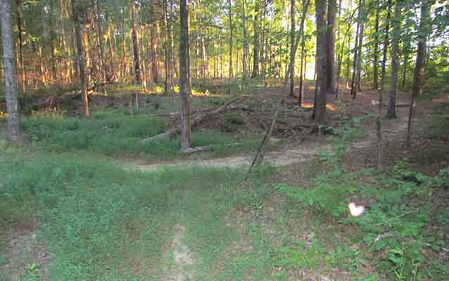 Natchez Trace Scenic Trail, Rocky Springs trail junction