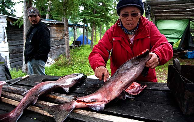 Native Alaskan filleting a fish