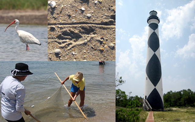 Activities include Field Study, Track Collecting, & Lighthouse History