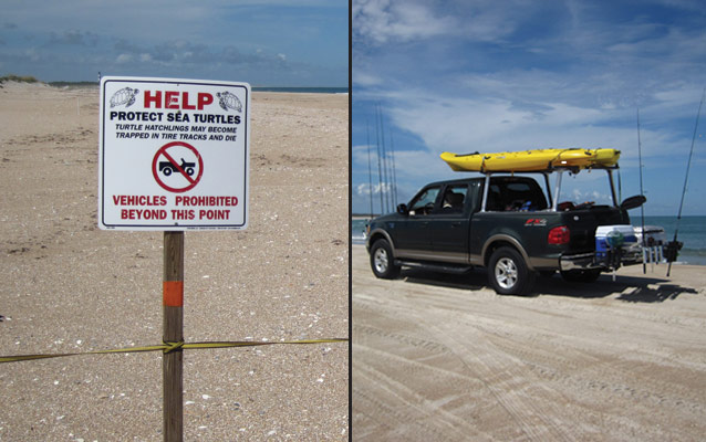 Sea Turtle Nest Closure and Beach Driving