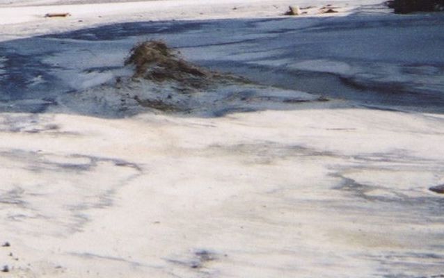Black and Tan Sands Seen After a Storm
