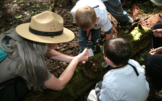 Students explore life on a log as part of their Kindergarten field trip in the Smokies.