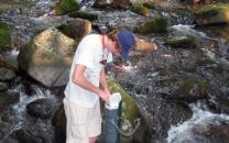 Internet Citizen Science Databases
