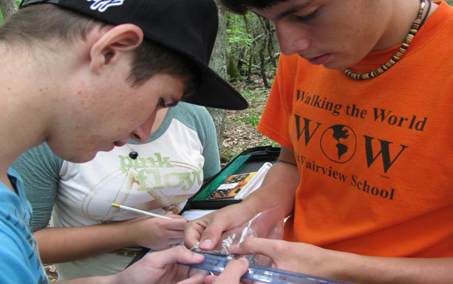 Two students measure a salamander