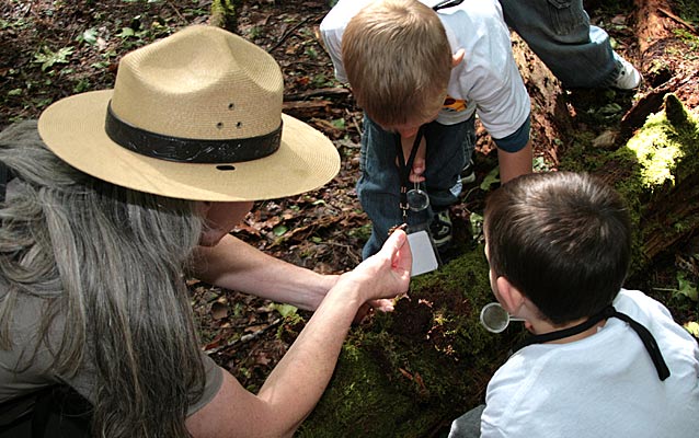 A park ranger helps two young boys look at life on a moss-covered log