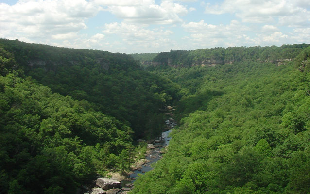 View from Wolf Creek