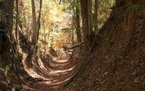 Trails Across America