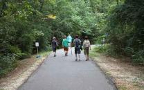 Traveling the Natchez Trace