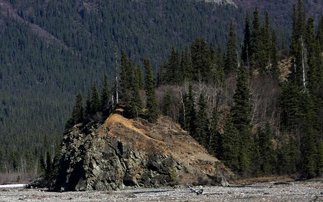 forested mountainside