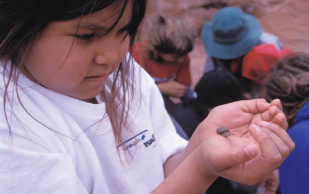 student examines a snail