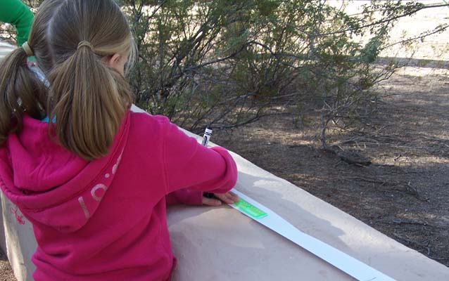 Students stretch paper timelines along a modern wall