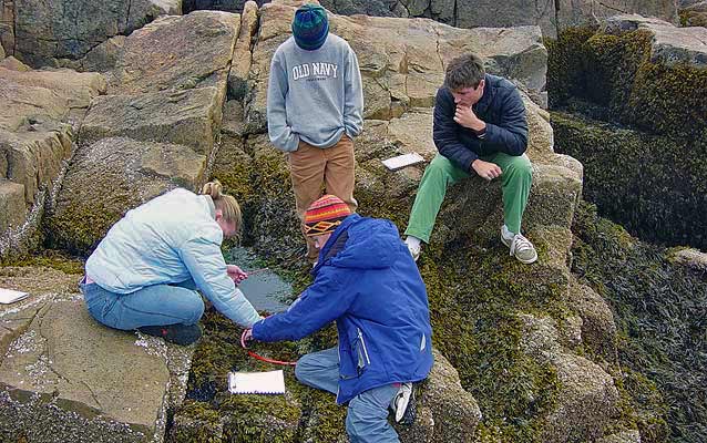 Students huddle on Acadia's coast exploring intertidal zones.