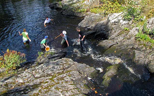 The SERC campus offers a rich variety of ecosystems to study.