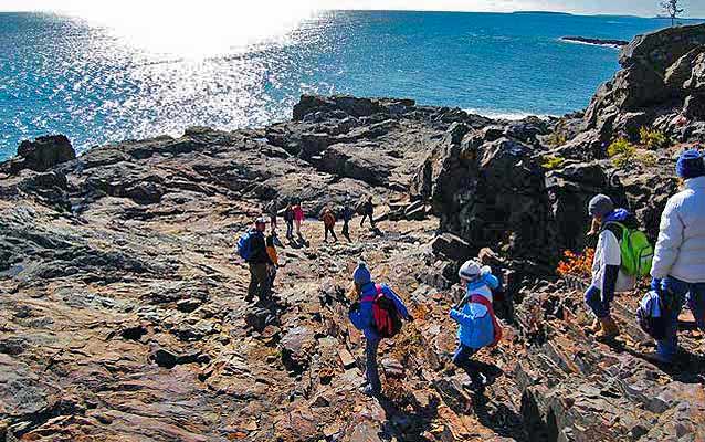 Students examine rocks along the coast of Acadia National Park.
