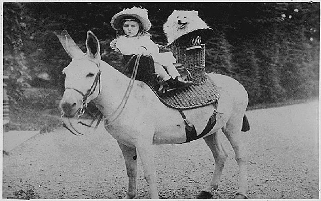 FDR on mule as a boy