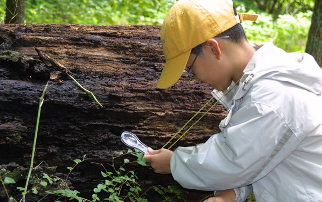 Ranger showing kids a plant
