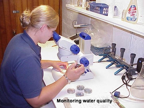 woman with blonde hair looking at water under a microscope