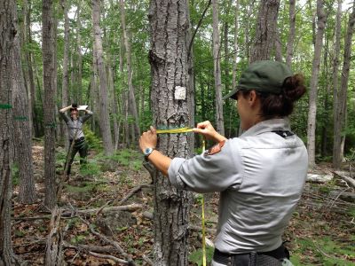 Two female rangers taking measurements and observations in a forest.