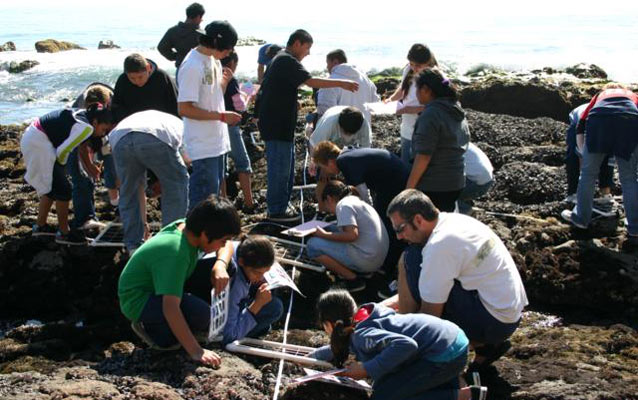 School group at tidepools.