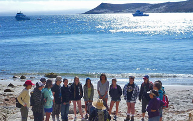 Students on beach.