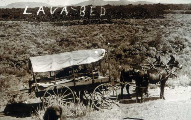 horse drawn wagon