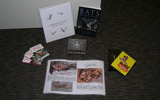 The bat traveling trunk