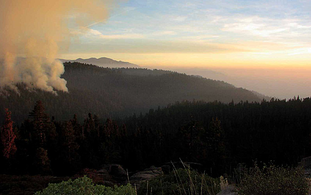 Wildfires may become more prevelent in Sequoia and Kings Canyon National Parks as the global climate continues to change.